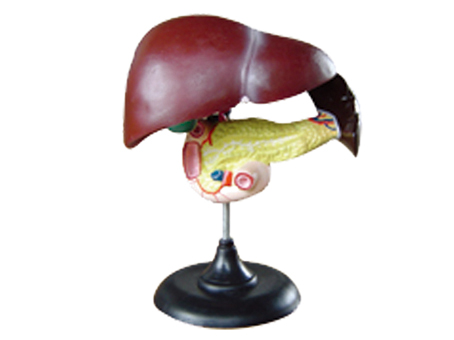 SD-093 33216ʮ֬cKģ